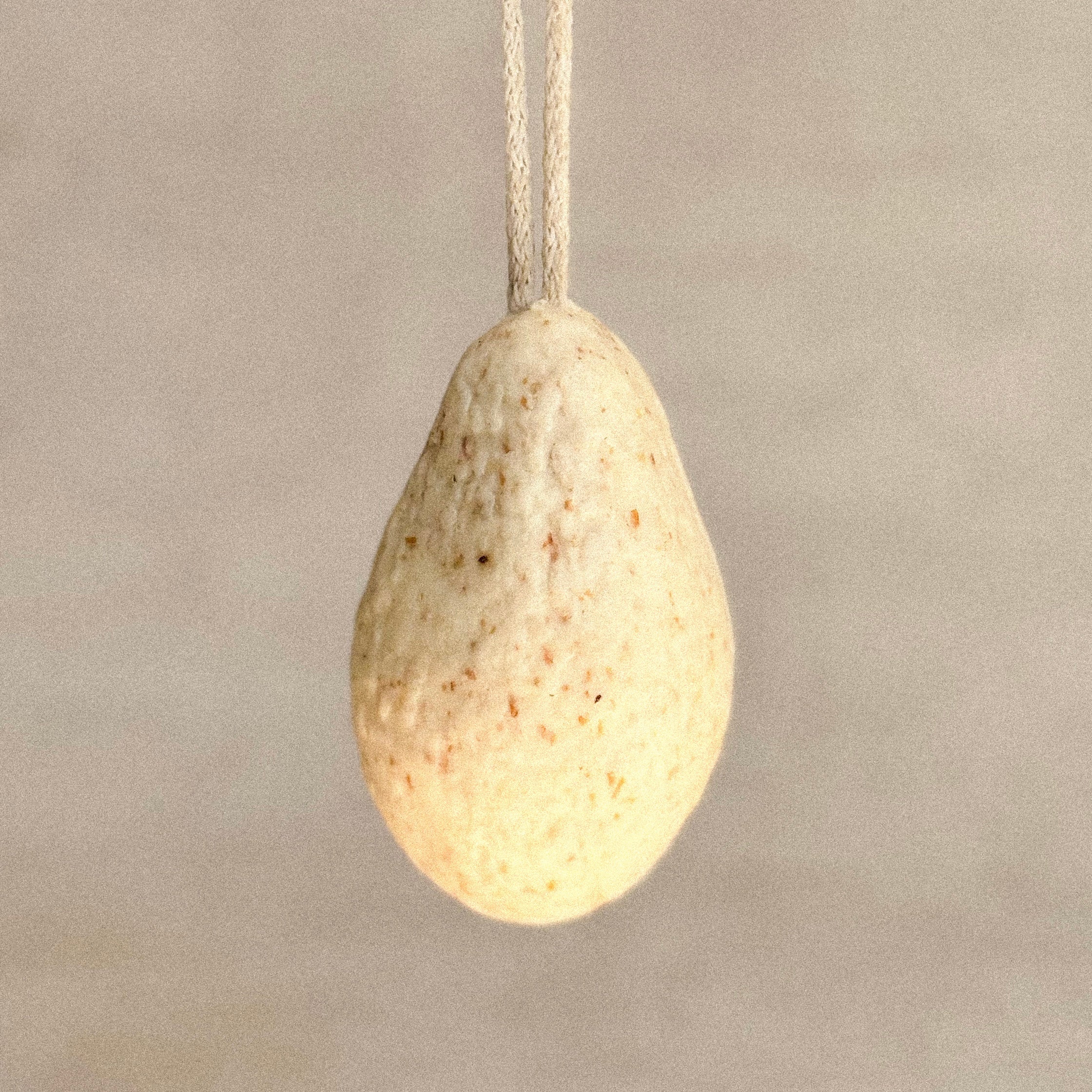 Aguamilpa Soap