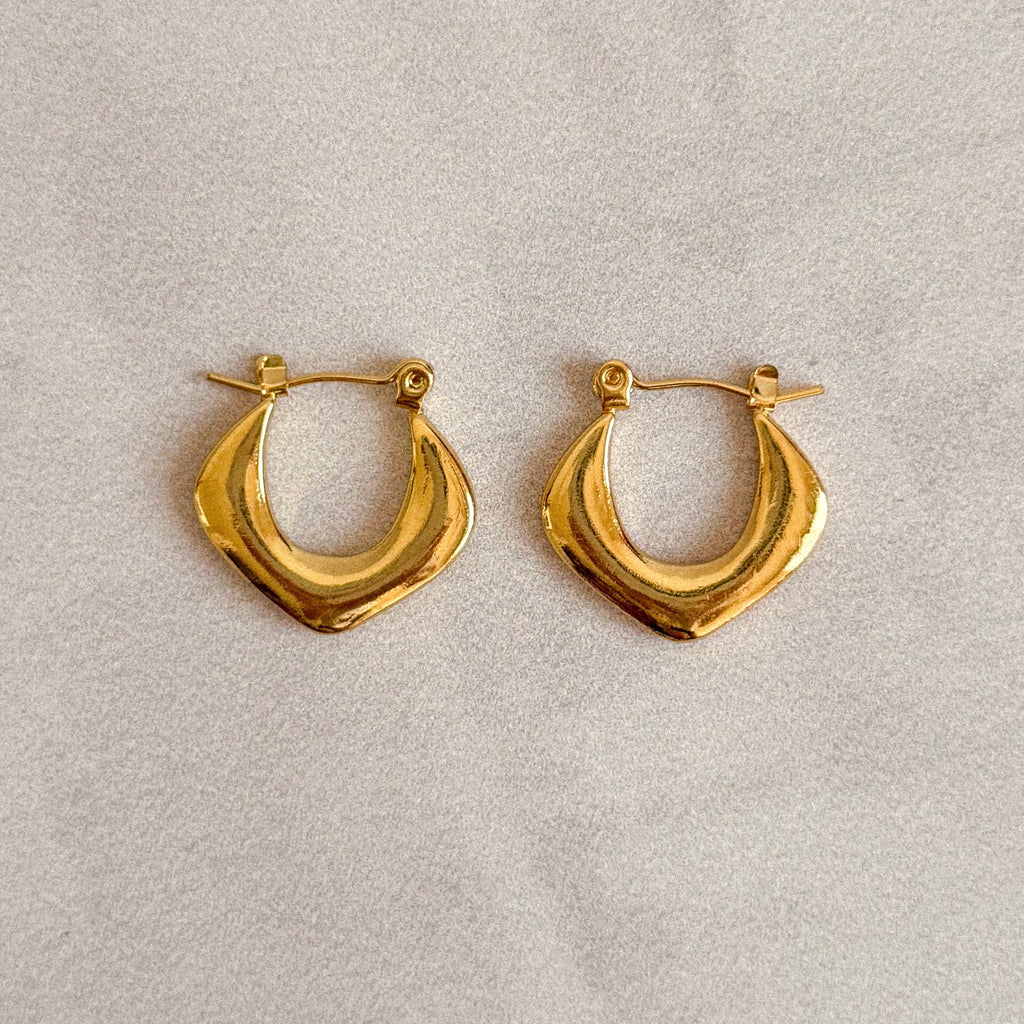 Aretes Guadalupe