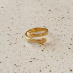 Anillo Jaime