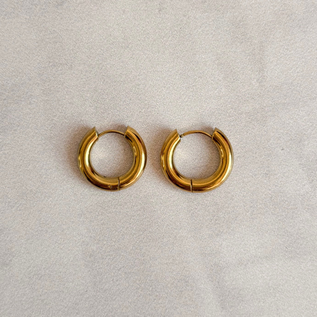 Aretes Gabriela