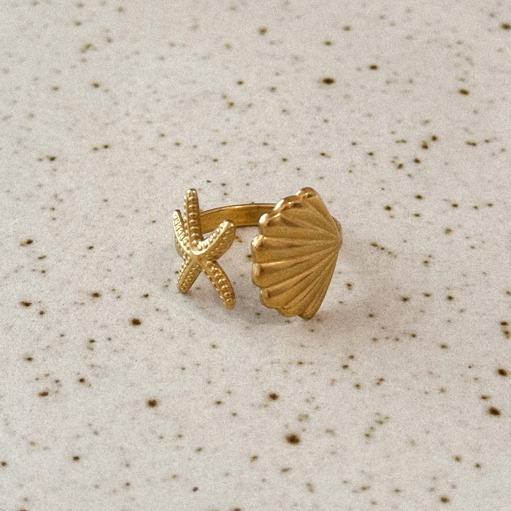 Anillo Daniel