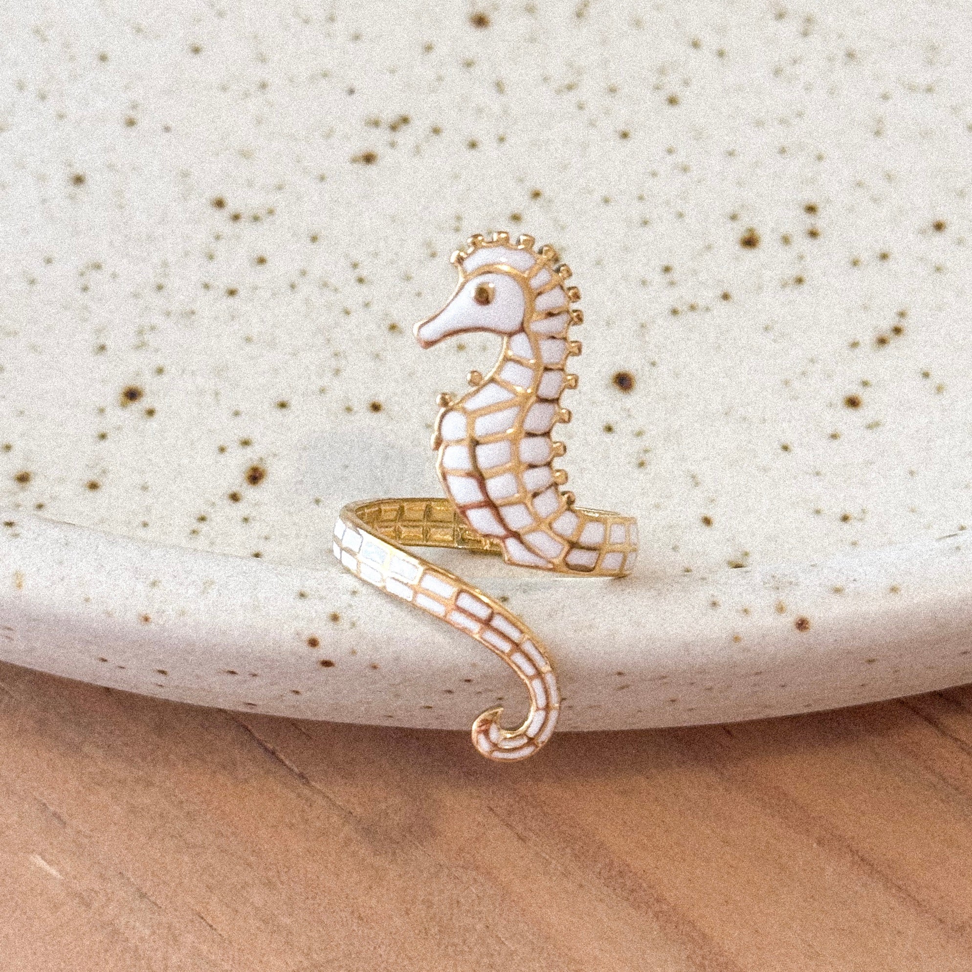 Anillo Vallarta