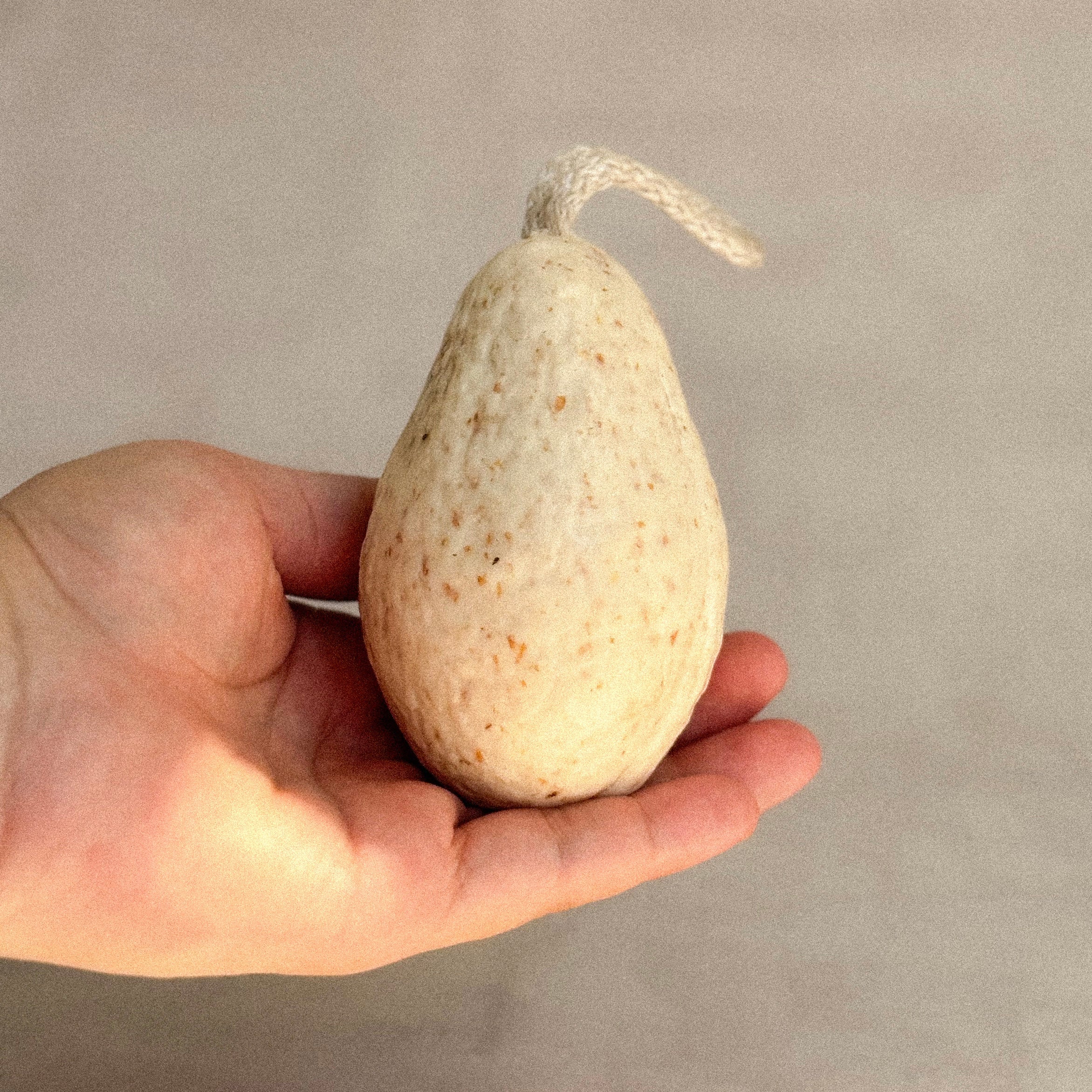 Aguamilpa Soap