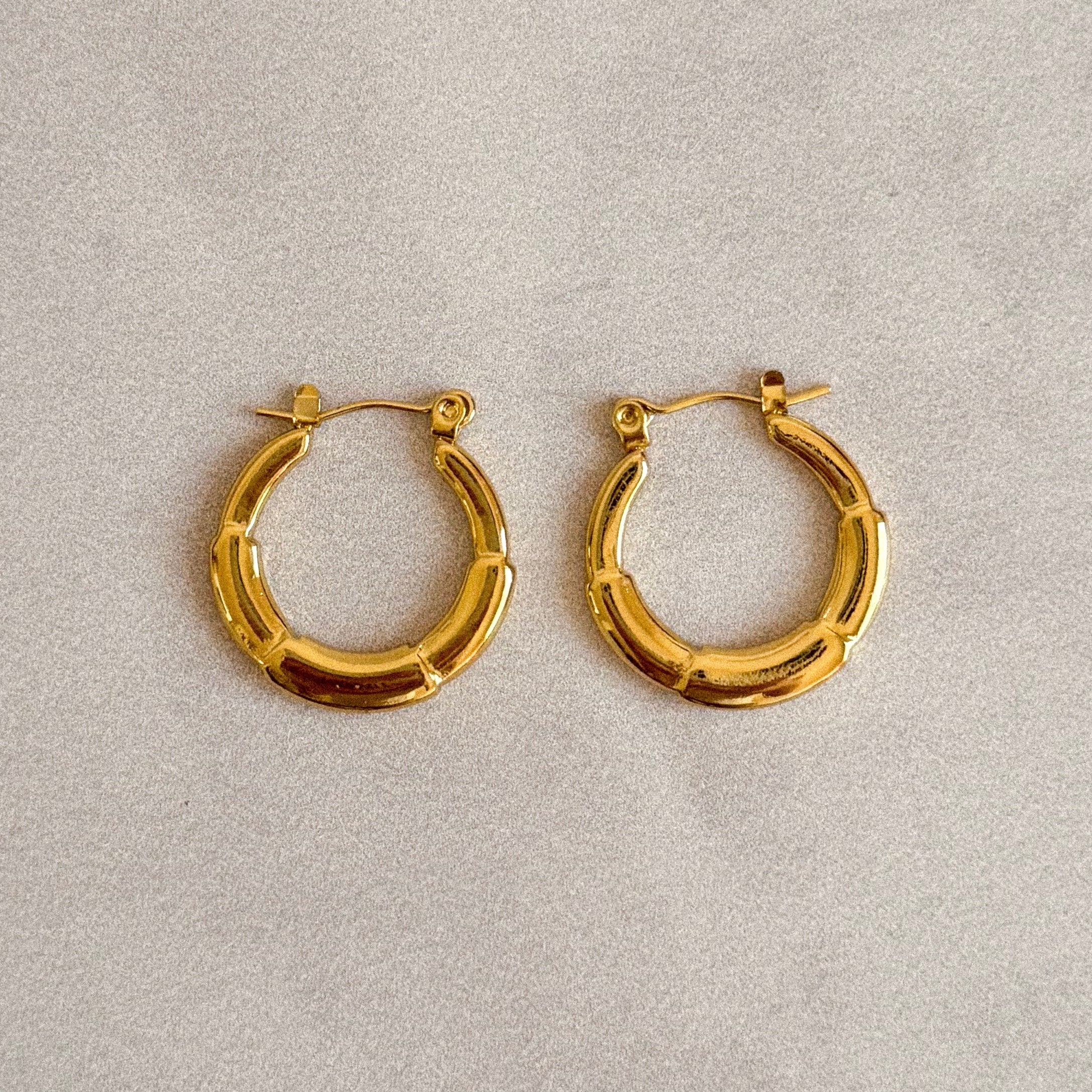 Aretes Irma