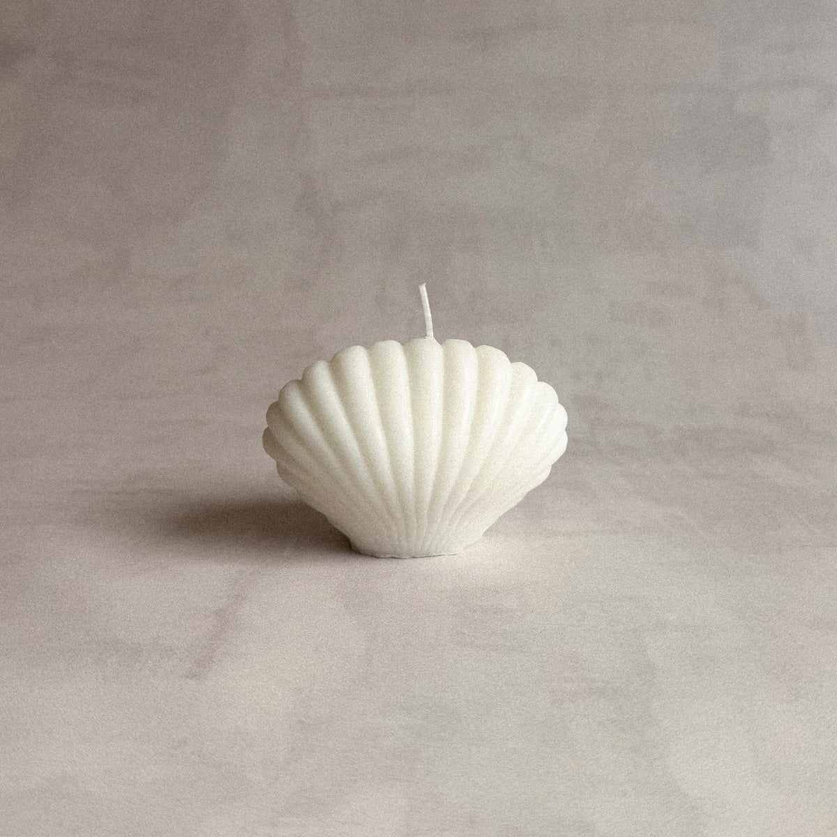 Clam Candle