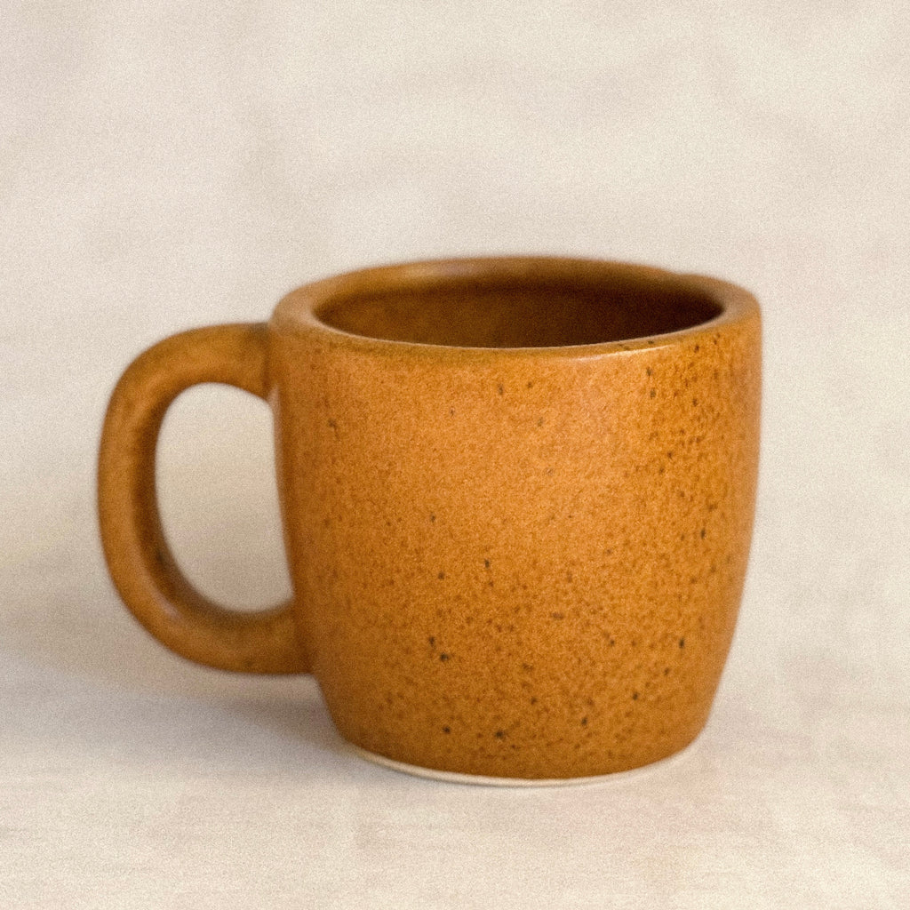 Taza Holbox