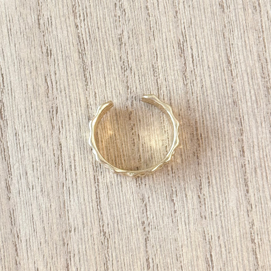 Anillo Marcus