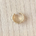 Anillo Marcus
