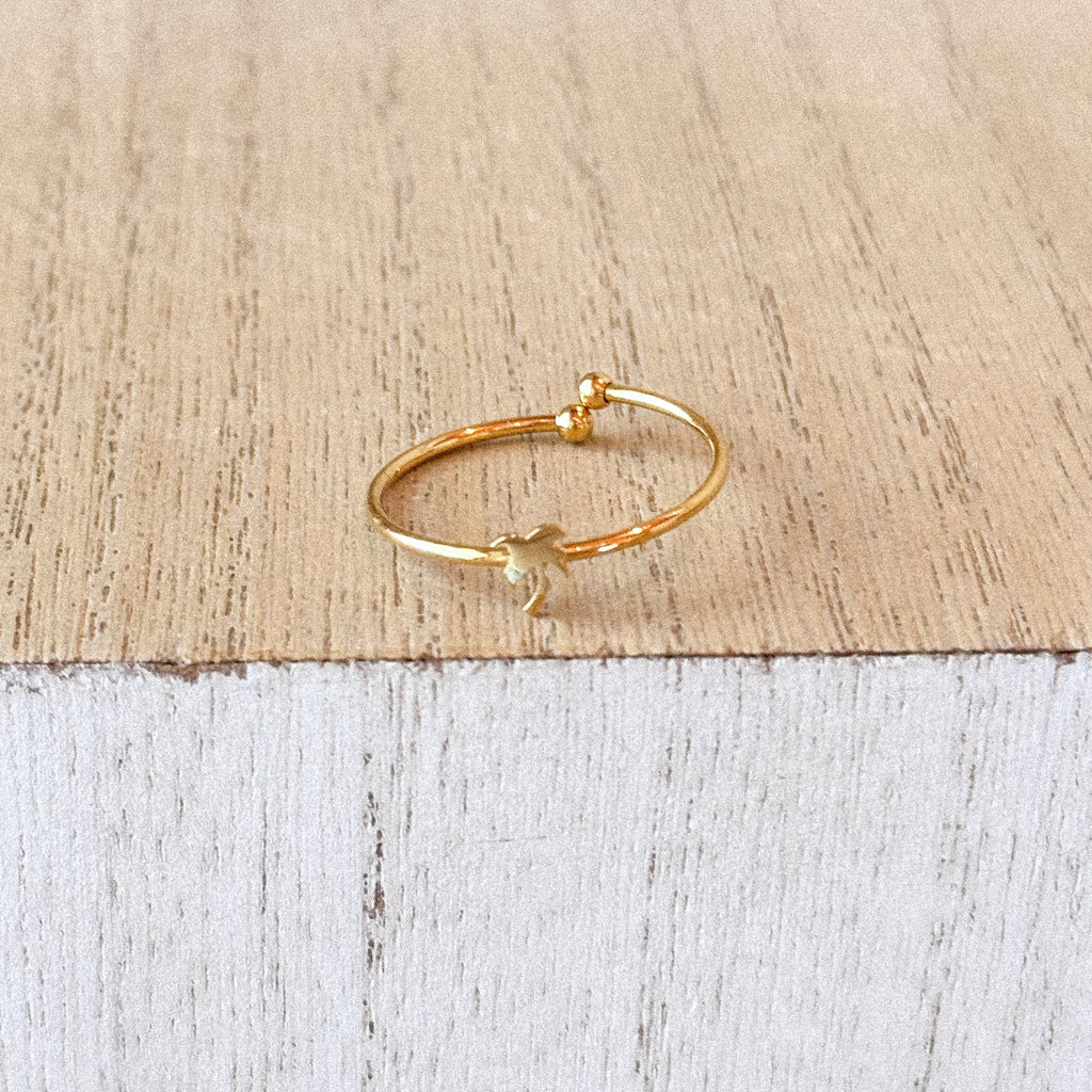 Anillo Isabel