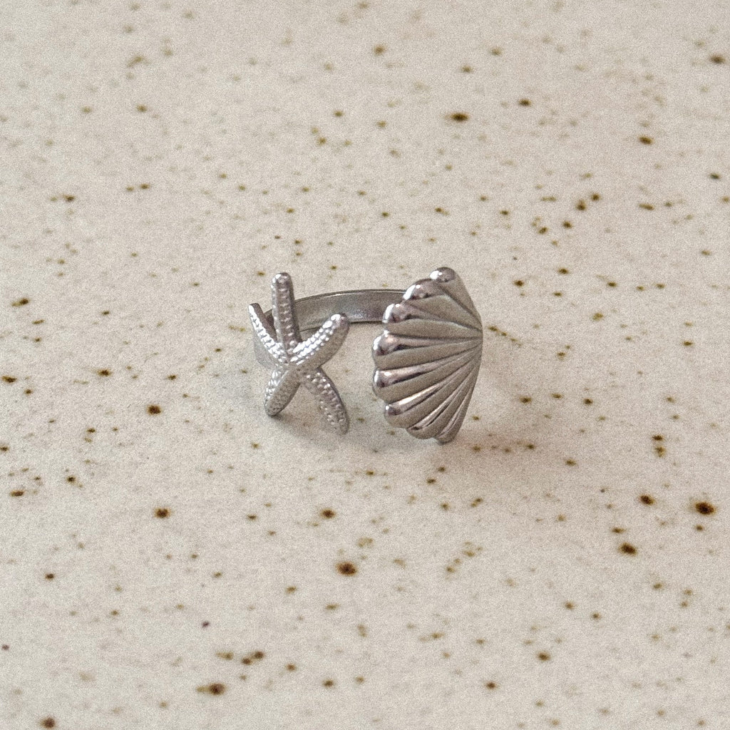 Anillo Daniel