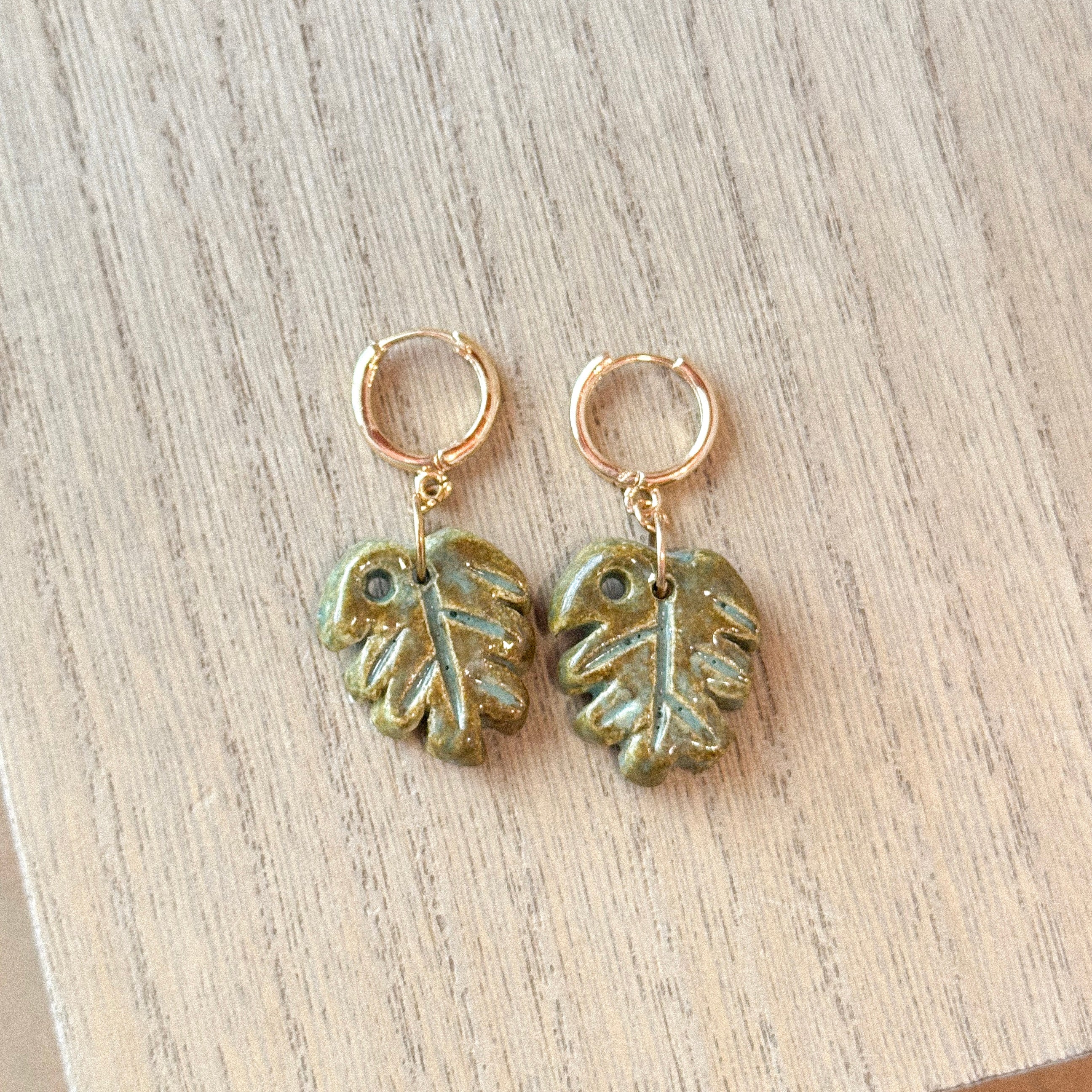 Aretes Emiliano