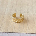 Anillo Marcus