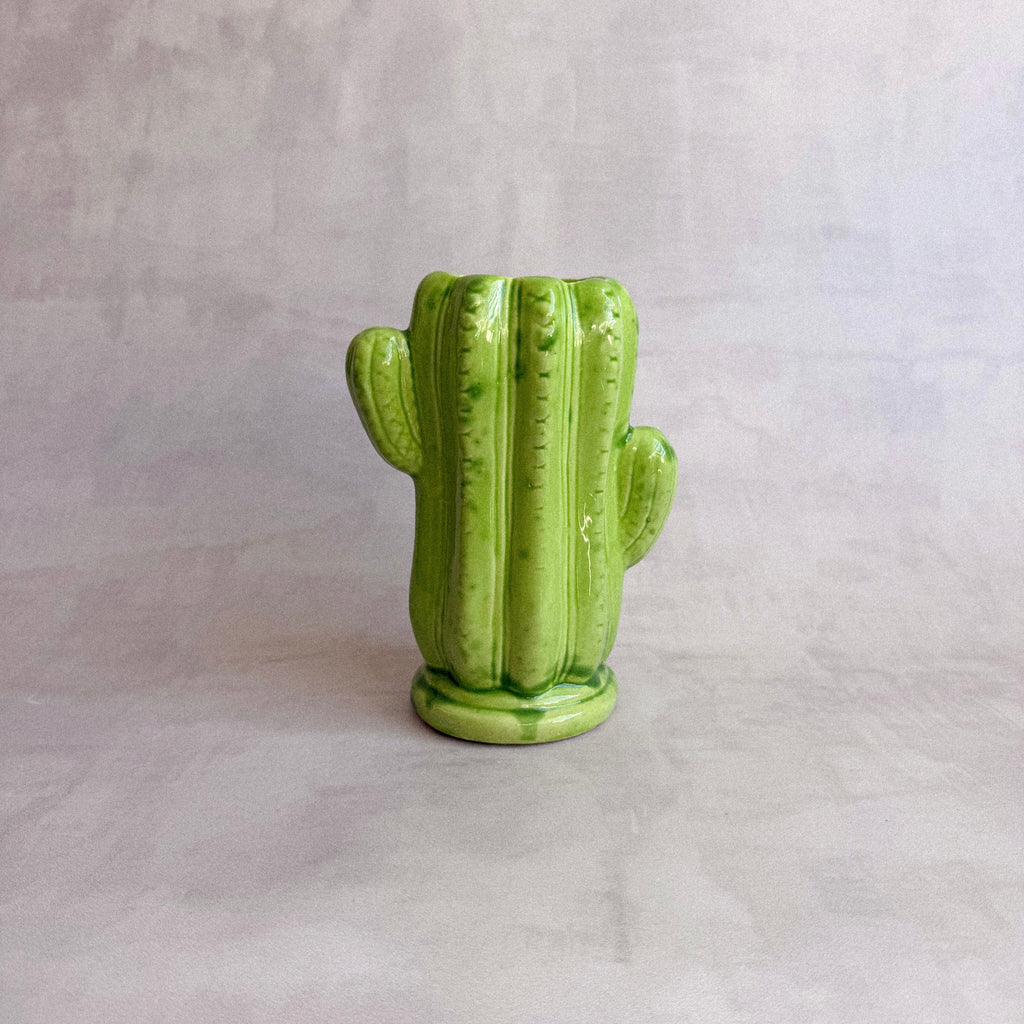 Vaso Cactus