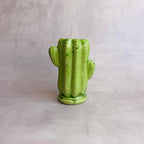 Vaso Cactus