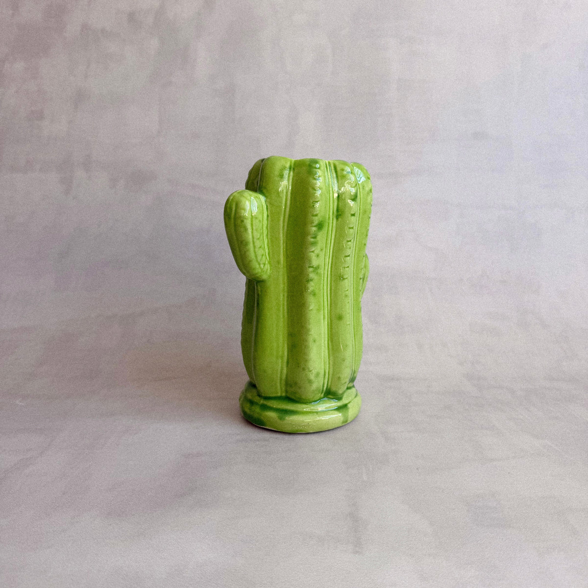 Vaso Cactus