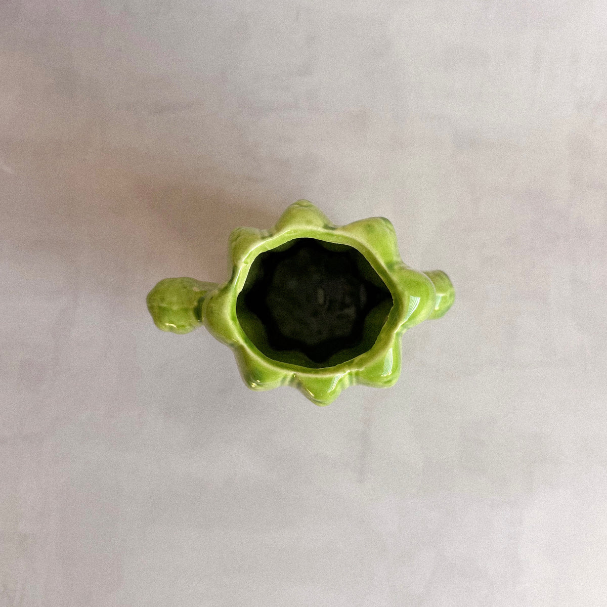 Vaso Cactus